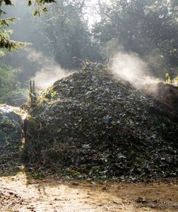 Piles of Compost