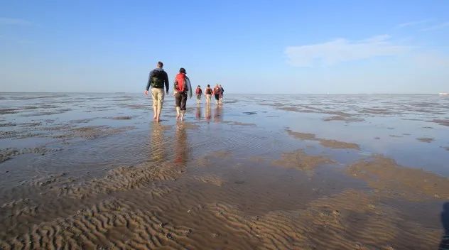 wadden