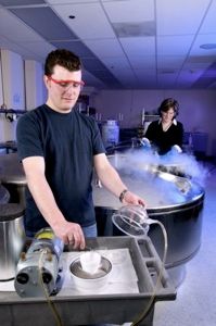 Cryopreservation