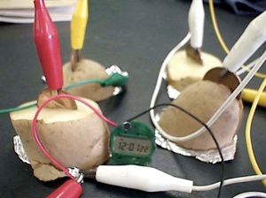 Potato-Powered Clock