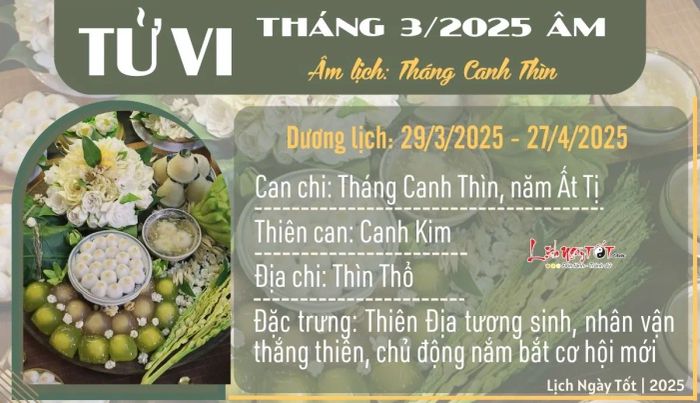 Tổng quan tử vi tháng 3/2025 âm lịch của 12 con giáp