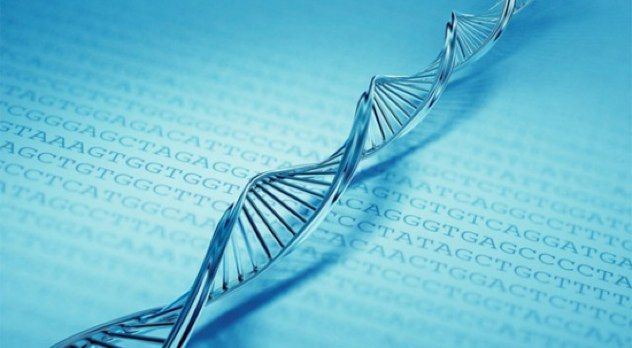 Dna-Storage