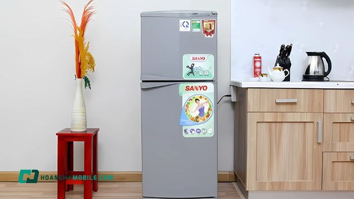 tu-lanh-sanyo-22