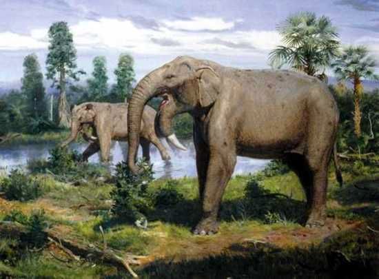 Deinotherium Small