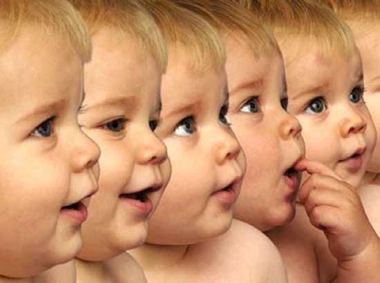 Human Cloning