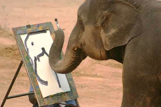 Elephant-Painter