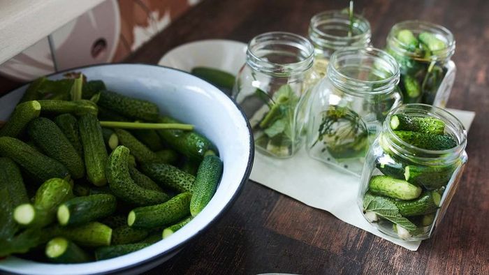 cucumbers undergoing the pickling process