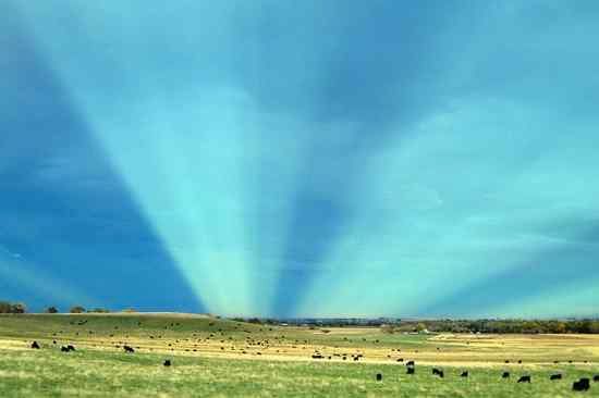 Anticrepuscular Britton