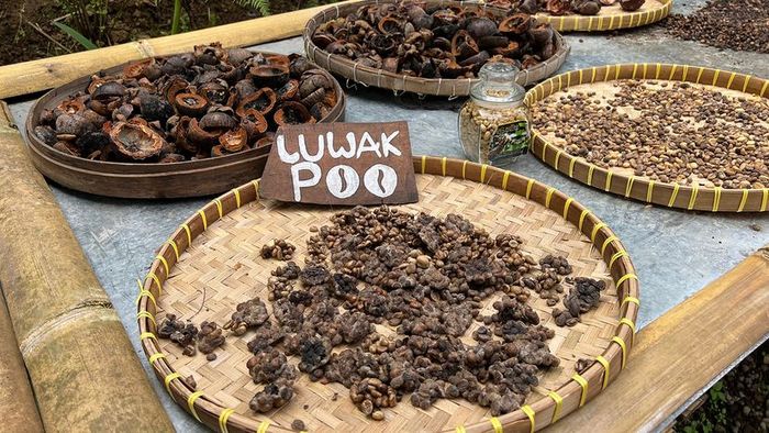 Civet coffee