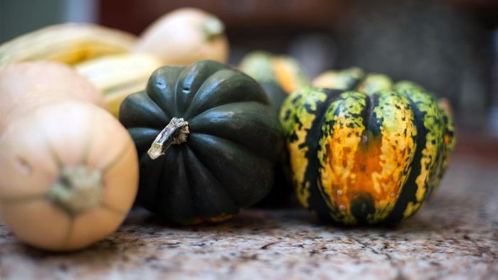 winter squash