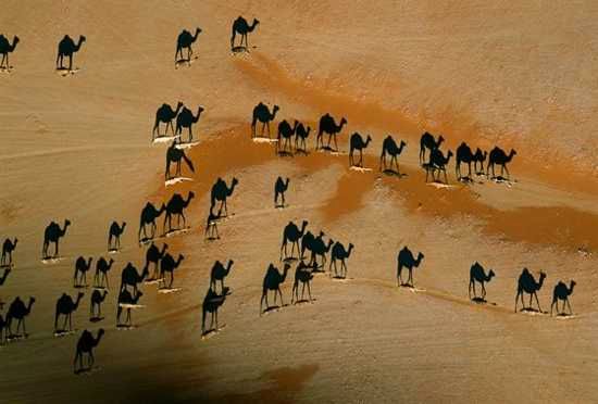 George Steinmetz Photography 1