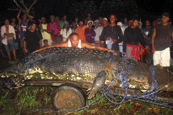 0907-World-Blog-Giantcrocodile Full 600