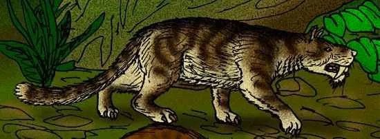 Reconstruction of Machaeroides Eothen