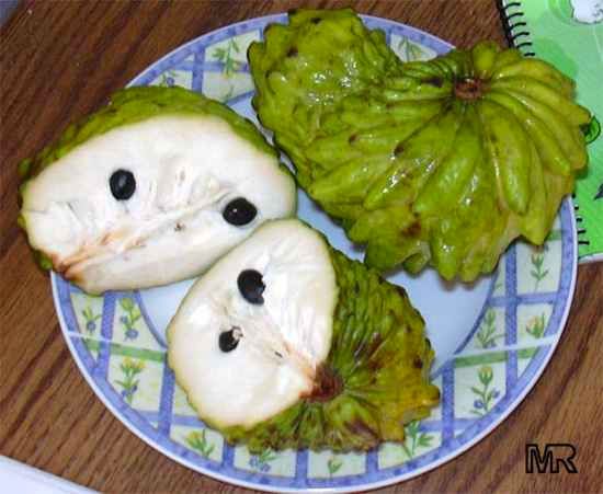 Annona
