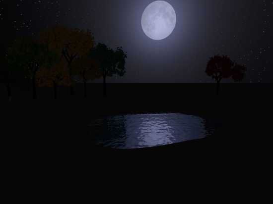 Nighttime-Pond