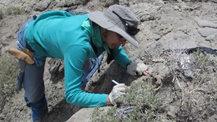 Karen Chin, the lead researcher from the University of Colorado Boulder, contributed significantly to the study.