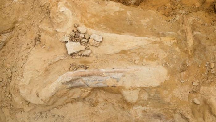 Denver Museum of Nature & Science