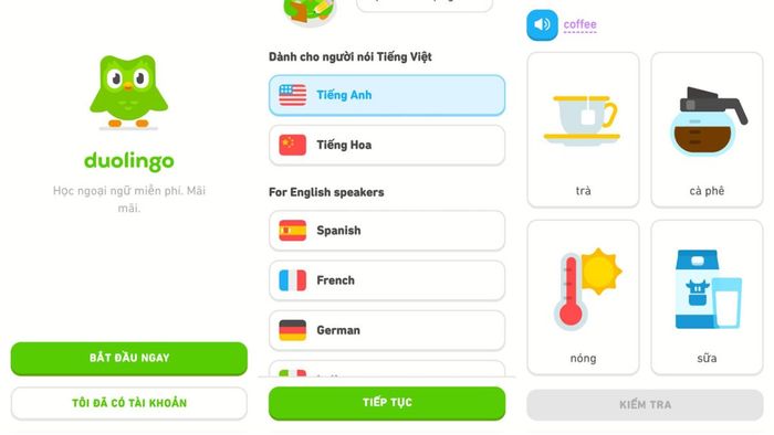 Hướng dẫn sử dụng giao diện Duolingo trên PC