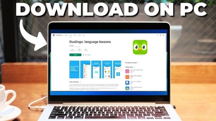 Yêu cầu cấu hình máy tính khi tải Duolingo