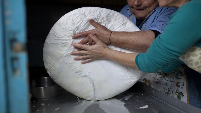 halloumi cheese