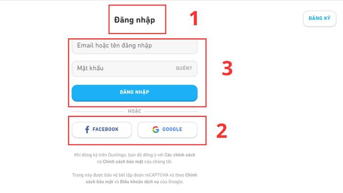 Hướng dẫn cách đăng nhập và sử dụng Duolingo trên PC