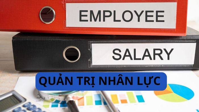 Ngành Quản trị nhân lực là gì?