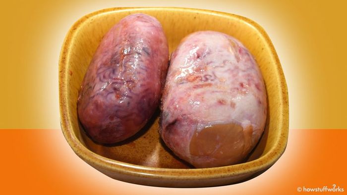 rocky mountain oysters