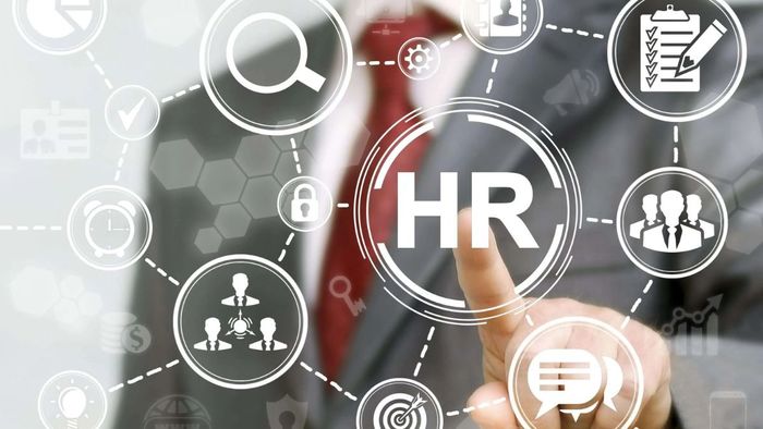 Mức lương ngành Quản trị nhân lực