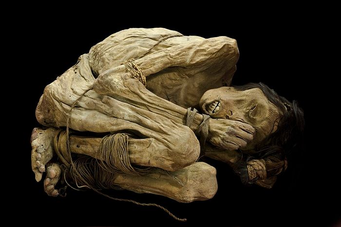 https://upload.wikimedia.org/wikipedia/commons/thumb/9/90/Mummified_male_body%2C_South_American%2C_800-1400._Wellcome_L0057117.jpg/1024px-Mummified_male_body%2C_South_American%2C_800-1400._Wellcome_L0057117.jpg
