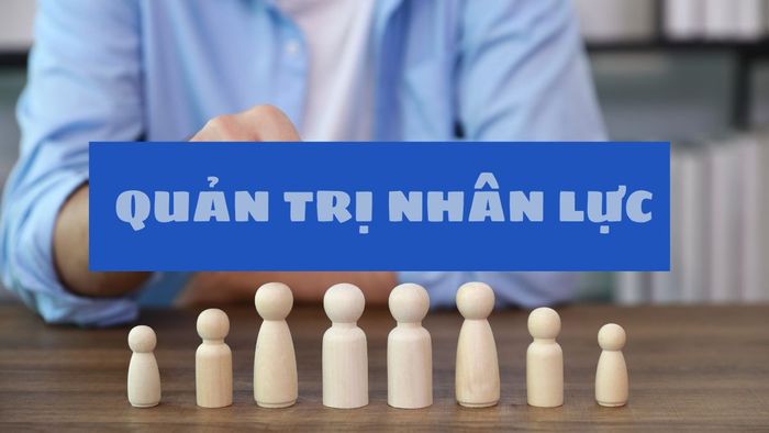Ngành Quản trị nhân lực học những gì?