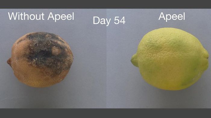food waste, produce preservation