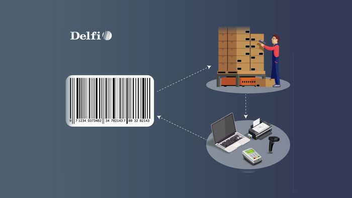 các giải pháp phần mềm quản lý kho trong lĩnh vực logistics