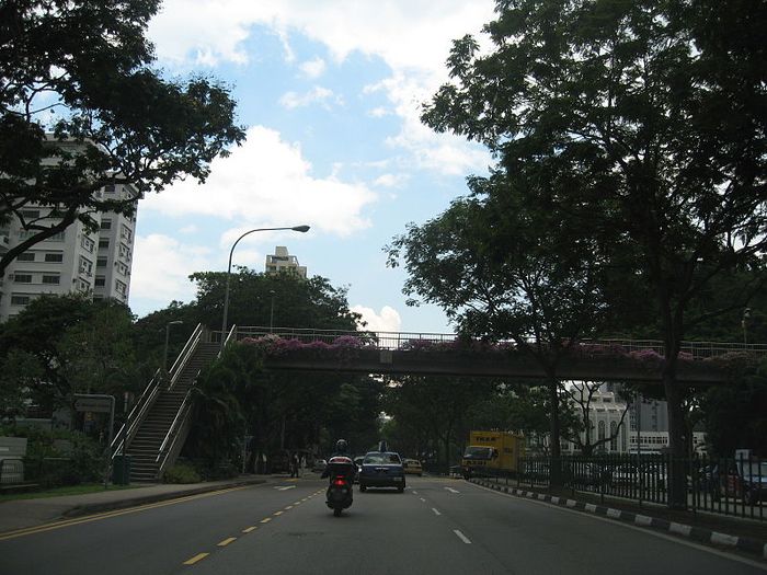 File:Thomson Road.JPG