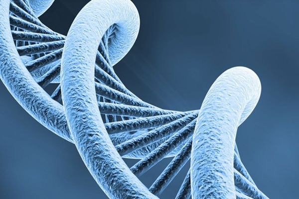 DNA 1 1