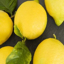 lemon
