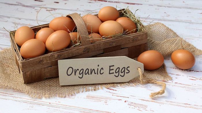 organic cage-free eggs