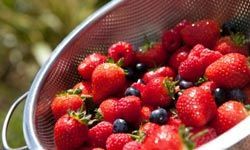 colander with fruits