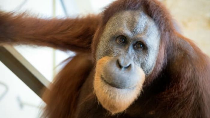 Mark Kaser, Indianapolis Zoo