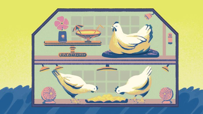 A depiction of a chicken coop where AI-powered devices cater to the needs of the chickens
