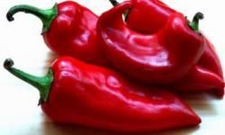Fresh Jalapeno Peppers
