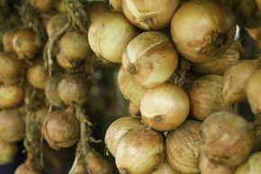 close-up view of an onion