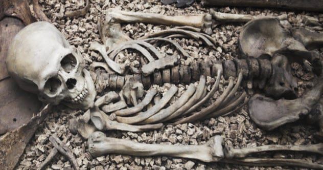 5b-skeleton-183258484
