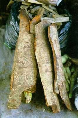 Tamamuri-Bark