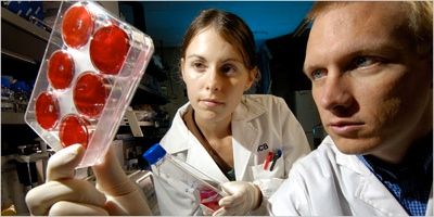 Stem-Cell-Research-Ny-Times
