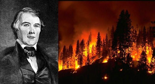 forest fire
