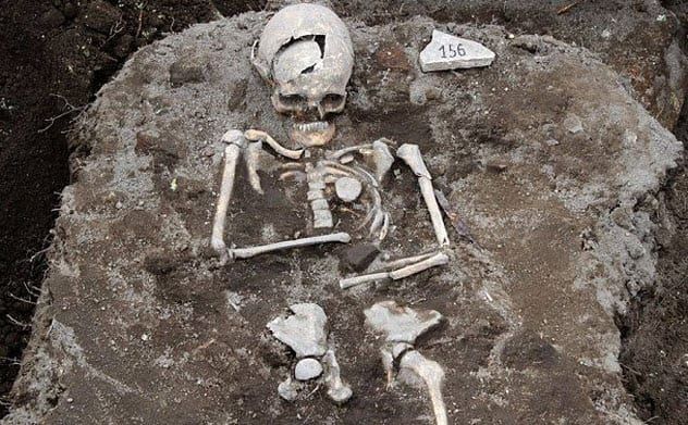 8-staked-skeleton