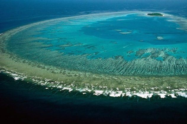 australia-reef