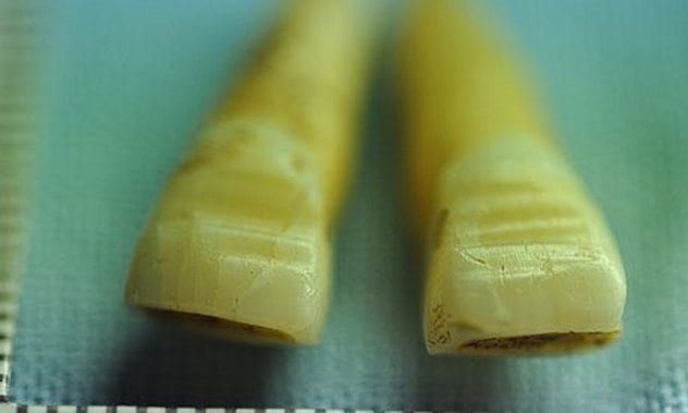 Filed Viking Teeth