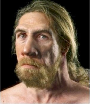 Adult Male Neanderthal