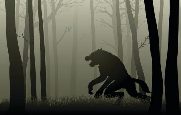10a-werewolf-526567034